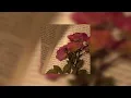 ivan cornejo - está dañada (sped up)