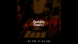 Download Spesihle(DJ TOY ft AL-JAY Remix)2024 MP3