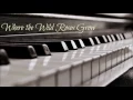 Lagu Nick Cave \u0026 The Bad Seeds - Where the Wild Roses Grow [ft. Kylie Minogue] (Piano Instrumental Cover)
