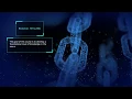 Blockchain 101 by IMA