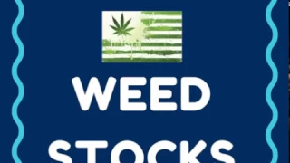 Weed Stocks 2016 - Should You Invest My Thoughts