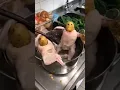 Top fun gif