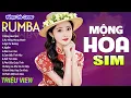 Download Lagu MỘNG HOA SIM , THƯƠNG LY BIỆT - LK Nhạc Trẻ Rumba 8x 9x Hót TikTok - ALBUM RUMBA XUẤT SẮC NHẤT