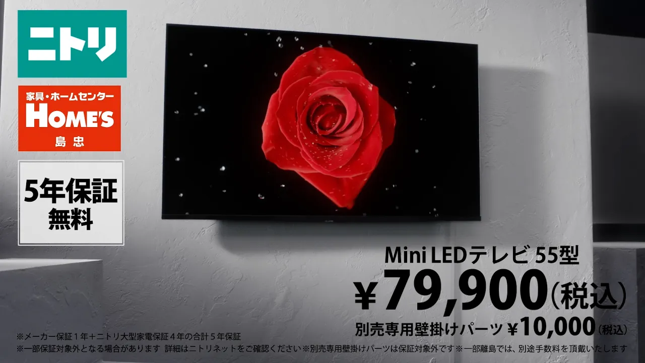 【ニトリのCM】人気のCM・歴代コマーシャルまとめ【2026】