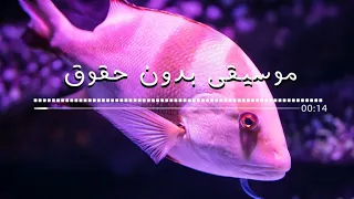 موسيقى مونتاج رائعة      بدون حقوق نشر دندنها