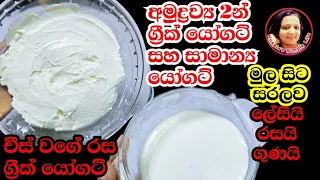 යෝගට් සහ ග්‍රීක් යෝගට් දෙකම ලේසියෙන් ජාති 2න් ලේසියි රසයි ගුණයි Yoghurt & Greek Yoghurt  Kusala 