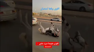 اقوى طيحه حصان  اقوى طيحه حصان