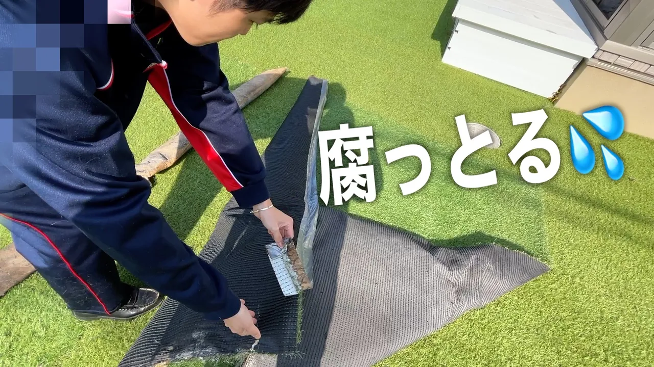 新居のベランダ用に・・4年間屋外放置だった人工芝を引っ張り出してきましたw【ココロマン普段の様子】