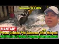 Download Lagu MANTAB‼️Pasca Disidak KDM, Kali Tersier Pintu Air Wadas Karawang Langsung Dinormalisasi