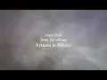 Isaiah Rizzo - Paper Bird (Visualizer)