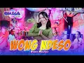 Download Lagu Wong Ndeso - Rena Movies (Omega Music)