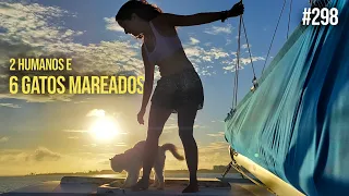 A couple and 6 cats on a sailboat? | #SAL #298