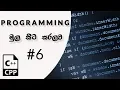 C Programming Sinhala - Variables Theory