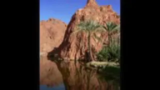 دق الكف فى الوادى الجديد دندنها