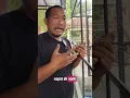 Download Lagu Segampang ini ternak murai di aviary