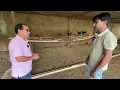 3000 देशी मुर्गी का अनोखा फॉर्म | Free Range Desi Murgi Palan | Desi Poultry Farm