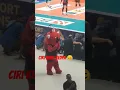 RedPa The Mascot Of Red Sparks 💥