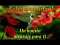 Feliz Domingo bendiciones que tengas un bendecido dia con este bonito mensaje de buenos dia