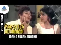 Lagu Thedi Vandha Mappillai Old Movie Songs | Idamo Sugamanathu Video Song | MGR | Jayalalitha | MSV