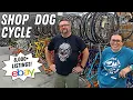 Inside the WORLD S LARGEST Bicycle Parts Reseller - Shop Dog Cycle Vintage Bike Parts Ebay Store