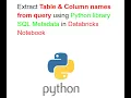 Extract Table Column names from Query using Python SQL Metadata library in Databricks Notebook