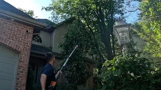 Stihl HT135 Best pole saw on the market