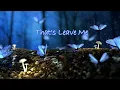 How The Story Goes -- MUNN (Lyrics) 🎤♫