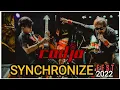 Download Lagu SYNCHRONIZE FEST 2022 | RADJA - YAKIN