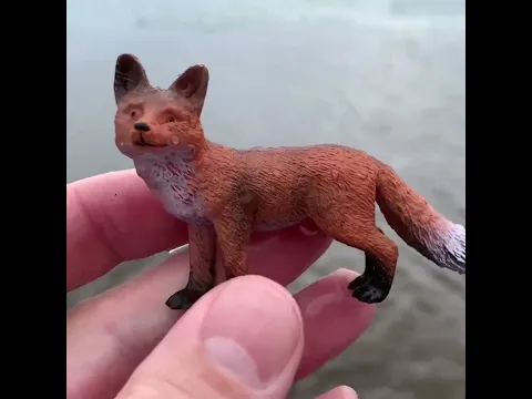 Red Fox River Rinse! Furry Tail Dips In