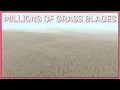 What I Did To Optimize My Game s Grass