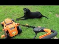 Is this CHEAP 119 AMAZON lawn mower ANY GOOD LawnMaster 15 inch Corded Mower