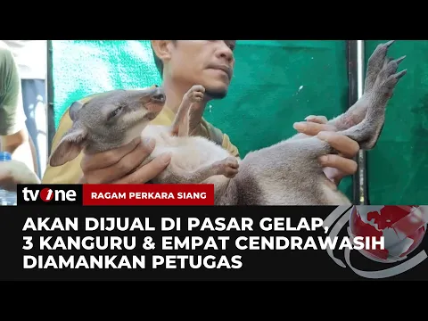 Penyelundupan Satwa Langka Digagalkan Petugas BKSDA