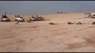 تدريبات نوعية لحركة و جيش تحرير السودان بقيادة عبدالواحد محمد النور 