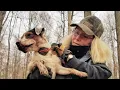 Introduction to Field Work with your Jack Russell Terrier