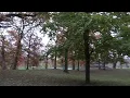 360 at Lords Public Museum 2021