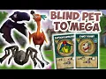 Wizard101 I LOVE DOUBLE PET XP BLIND Pet to Mega