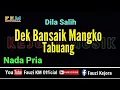Download Lagu Dila Salih - DEK BANSAIK MANGKO TABUANG (Karaoke) NADA PRIA