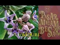 Download Lagu WIDURI - ROBBY LUBIS \u0026 CHALLENGE - lyrics