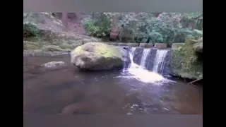 الله يا ربنا العظيم أجمل ابتهالات الشيخ سيد النقشبندي دندنها