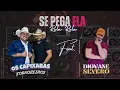 Download Lagu Se Pega Ela Rela Rela Os Capixabas Forrozeiros Feat. Diovane Severo (Áudio Oficial)
