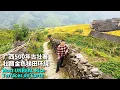 广西500多年古壮寨，金色龙脊梯田大饱眼福，人烟罕至的绝美乡村！