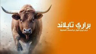 براري تايلاند ارض أخطر الحيوانات الاسيوية ثيران الغوار ذو العضلات المفتولة النادرة جدا كويست عربية 