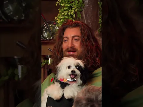 He's so fluffy I'm gonna die!