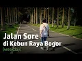 Download Lagu Jalan Sore di Kebun Raya Bogor