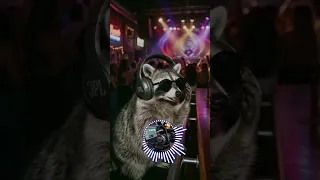                      دنيا سماطت ولا انا كبرت                              دندنها