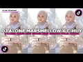 Download Lagu DJ ALONE MARSMELLOW X CIHUY STYLE PLAT KT BY KHARIS SOPAN | FULL BASS VIRAL TIKTOK TERBARU 2025 !!!