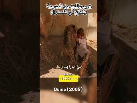هرب بالفهد من المدرسة وضاع في الصحراء!