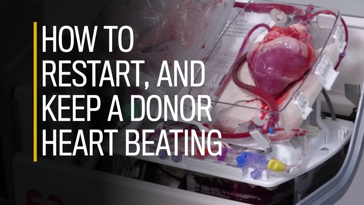 How to restart, and keep a donor heart beating