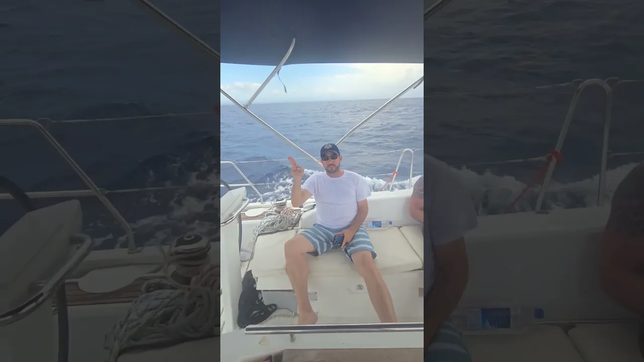 sailing race and guess who is winning