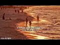 [Playlist]에그플리#631🎈허공 속 허황된 꿈들🎶the way that we started (taylor) - elijah woods  (lyrics)
